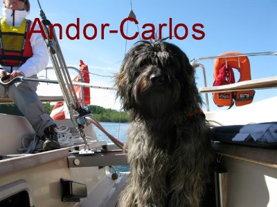 Andor-Carlos