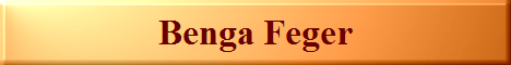 Benga Feger