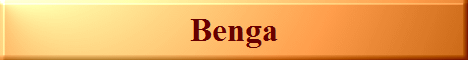 Benga