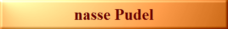nasse Pudel