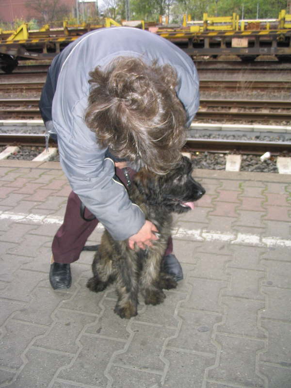 Welpenzeit