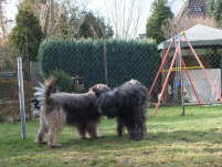 Hochzeit Gina und Ringo