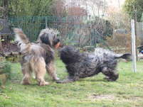 Hochzeit Gina und Ringo