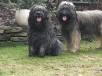 Hochzeit Gina und Ringo