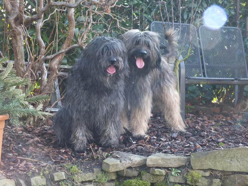 Hochzeit Gina und Ringo