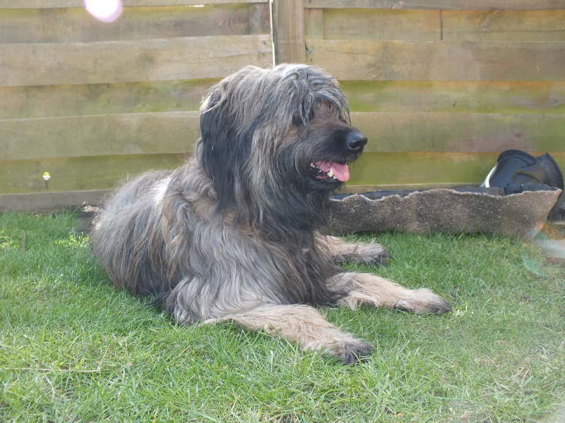Hochzeit Gina und Ringo