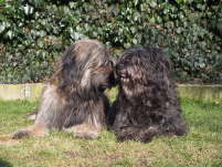 Hochzeit Gina und Ringo