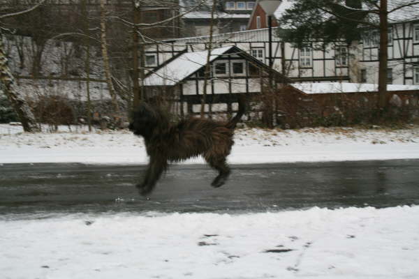 Schmallenberg Weihnachten 2007