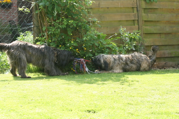 Spiel im Garten