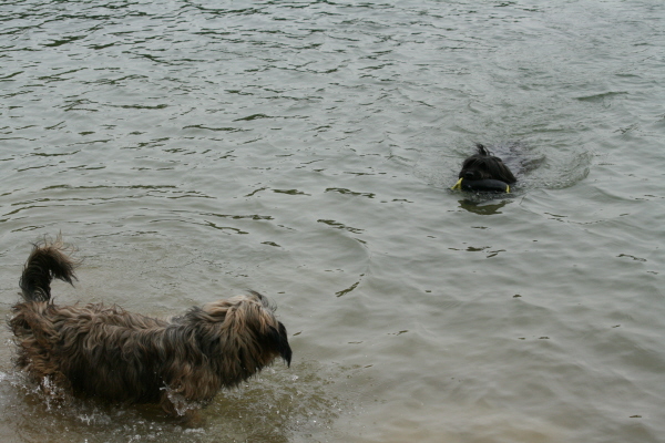 erste Schwimmversuche