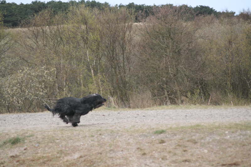 Ostern Holland 2013