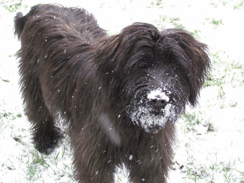 Erste Schneeerfahrungen