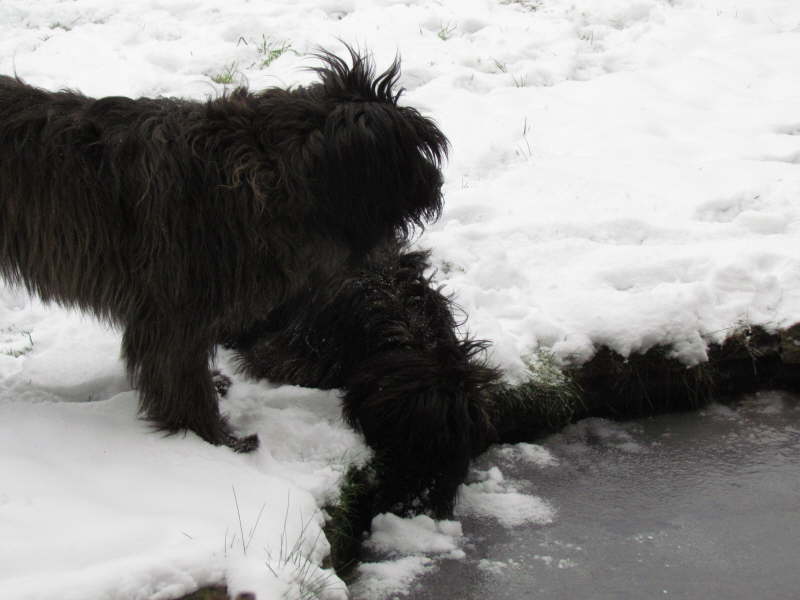 Erste Schneeerfahrungen