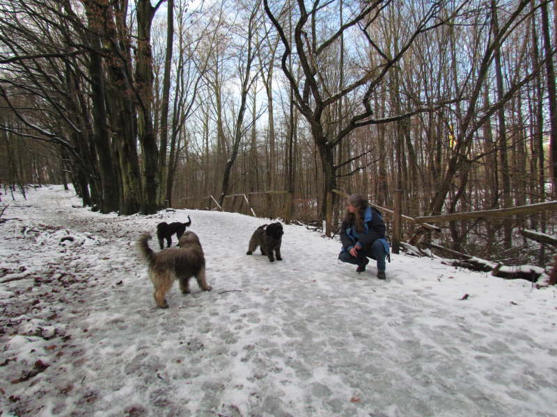 Spaziergang Boemke