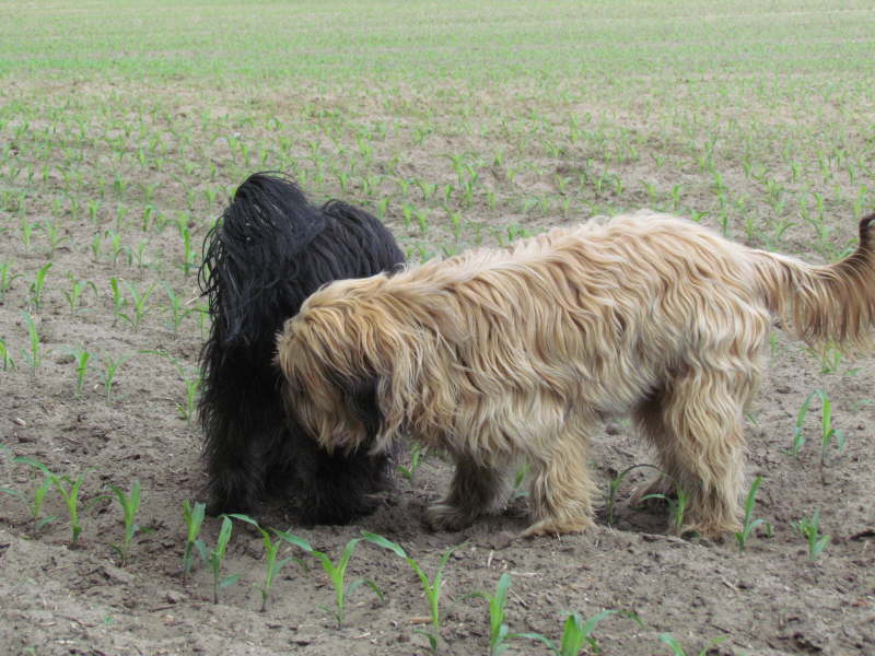 Feldspaziergang