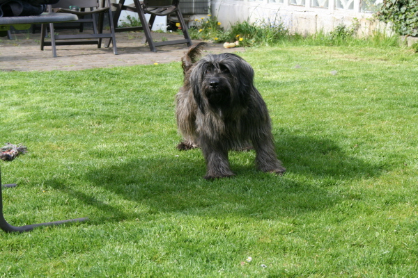 Gartenspiele