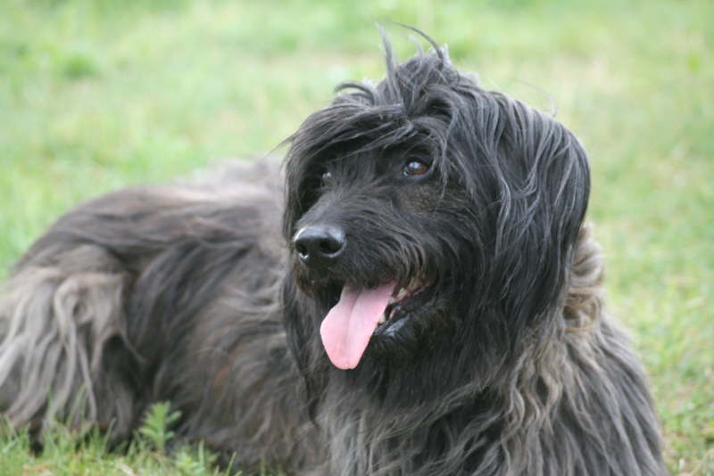 Unsere Benga