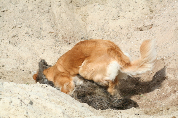 Sandspiele
