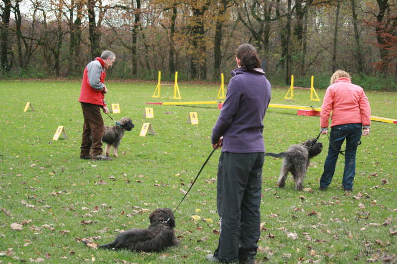 Parcour Welpenstunde