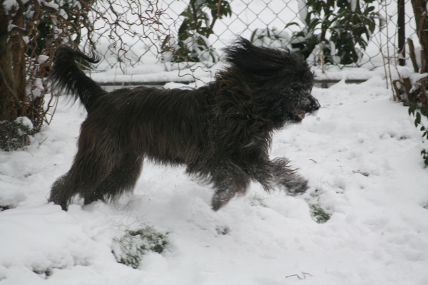 Winterspiele im Garten