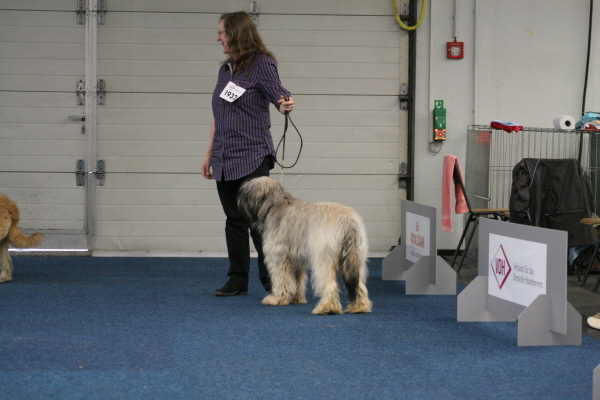 Hndinnen Zwischenklasse