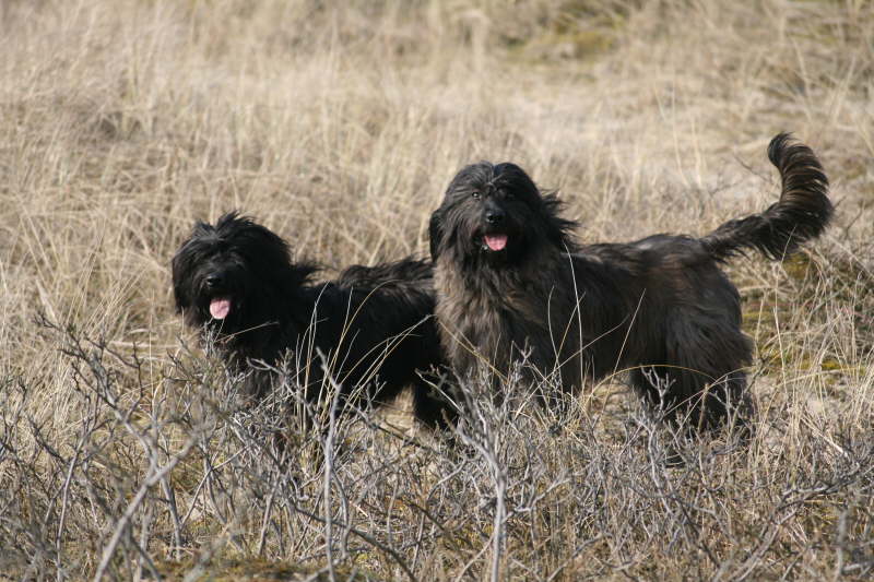 Dnenspaziergang