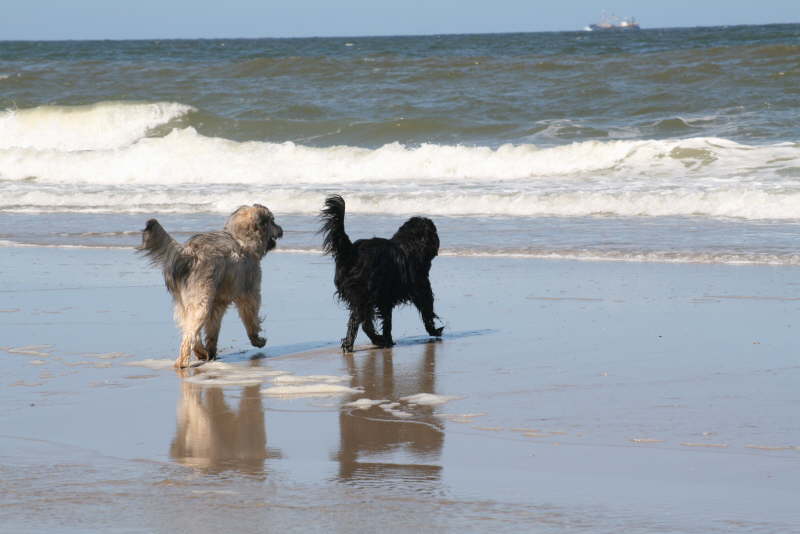 Strandspaziergang