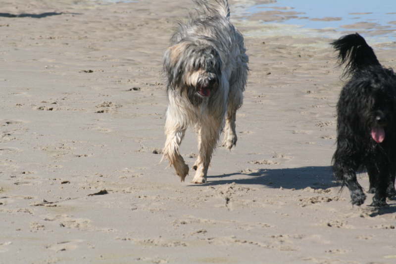 Strandspaziergang