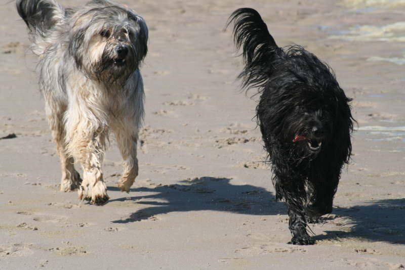 Strandspaziergang