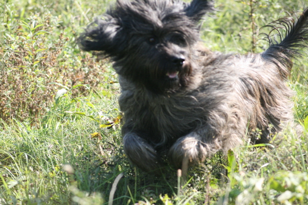 Cuni und Benga Herbst 2008