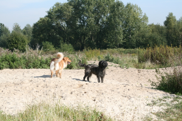 Cuni und Benga Herbst 2008