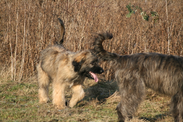 Feldspaziergang