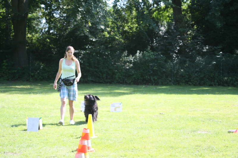 Rally Obedience