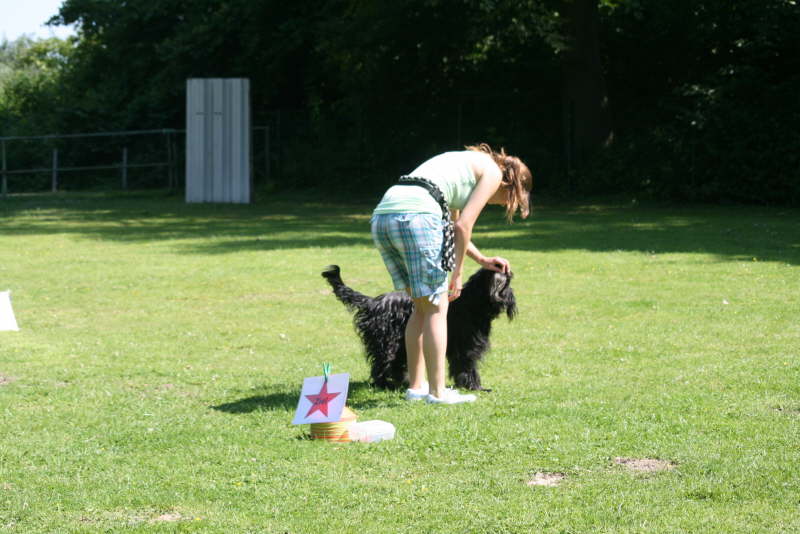 Rally Obedience