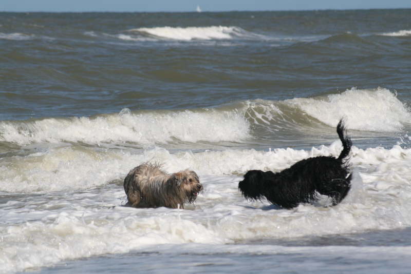 Strandspaziergang