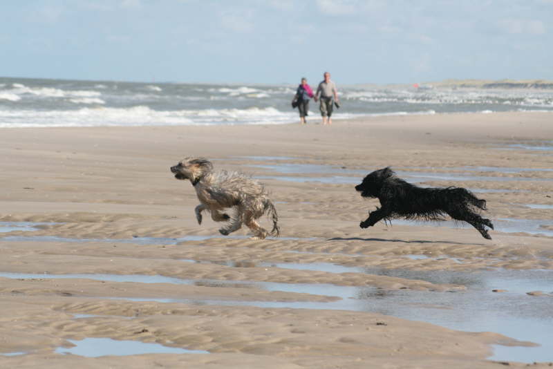 Strandspaziergang