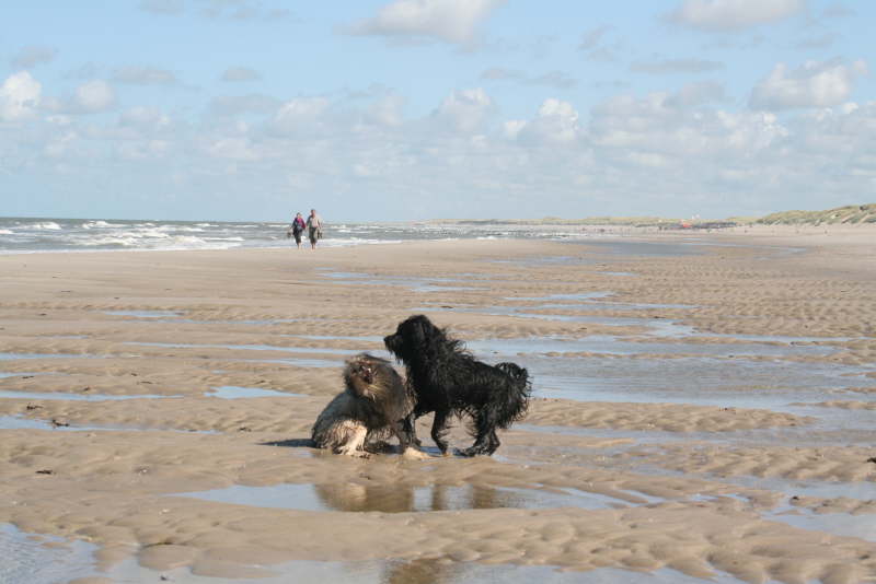 Strandspaziergang