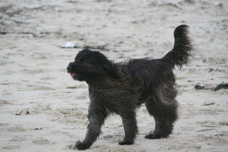 Strand, Wind, Wasser