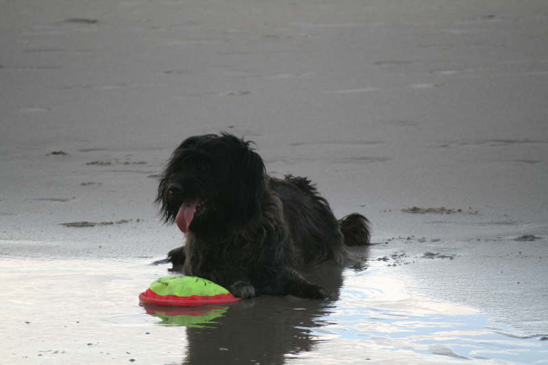 Strand, Wind, Wasser