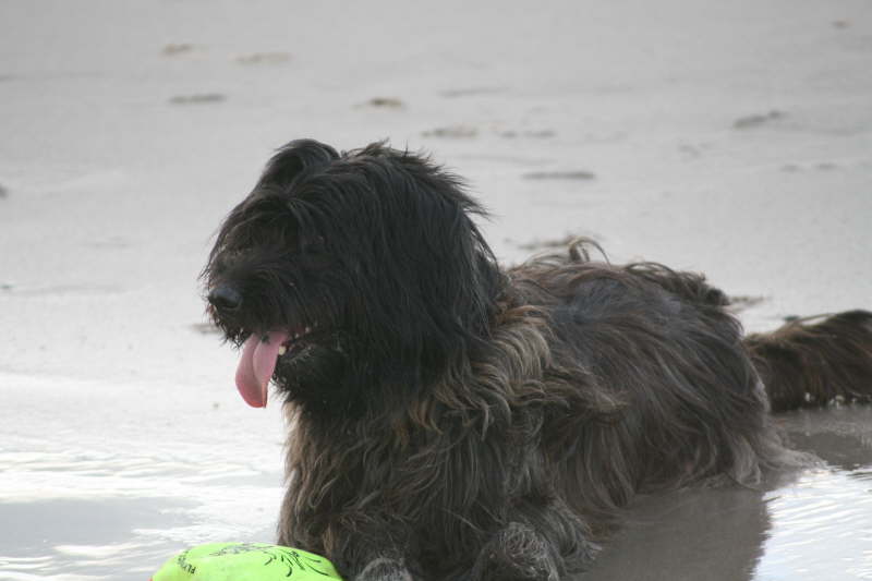 Strand, Wind, Wasser