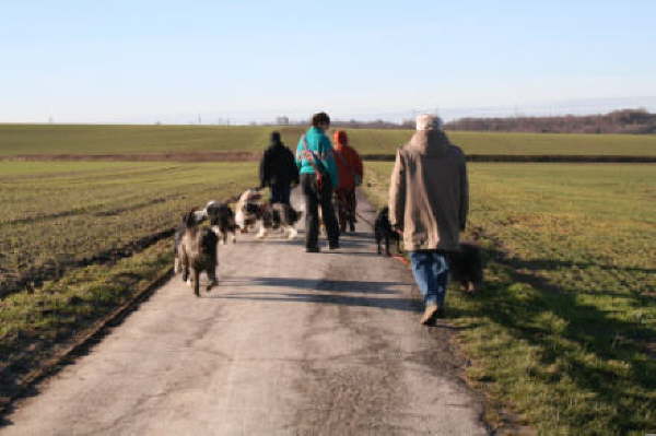 Hundesportverein Holzwickede Ausklang